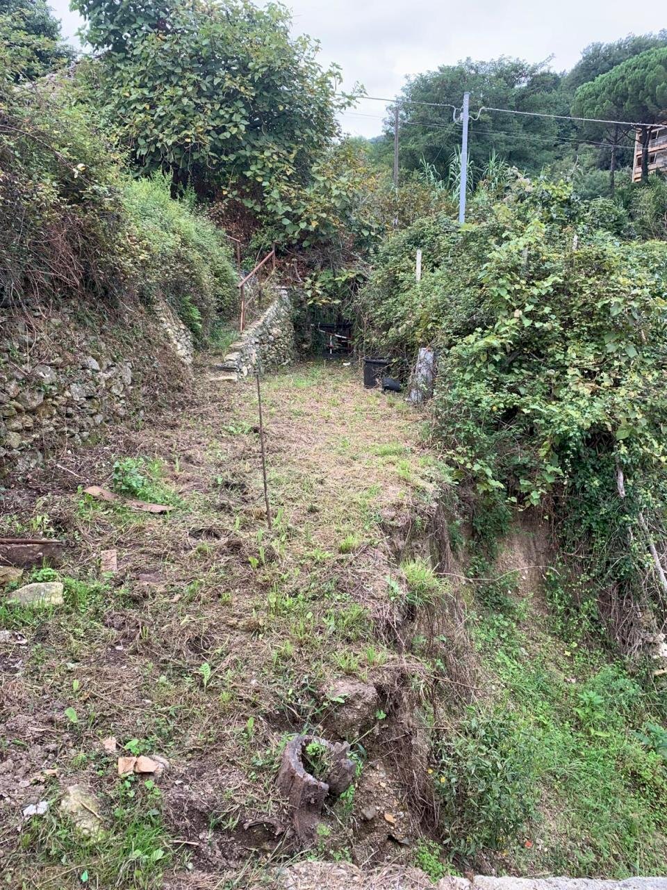 WhatsApp Image 2025-09-10 at 15.24.52 (1).jpeg - Agricultural land Via Elvio Pertinace 19, Vado Ligure - photo 3