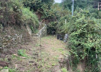 WhatsApp Image 2025-09-10 at 15.24.51.jpeg - Agricultural land Via Elvio Pertinace 19, Vado Ligure - photo 2