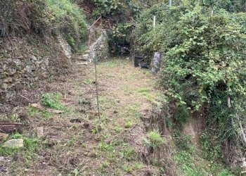 WhatsApp Image 2025-09-10 at 15.24.52 (1).jpeg - Agricultural land Via Elvio Pertinace 19, Vado Ligure - photo 3