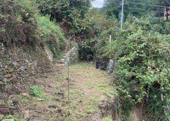 WhatsApp Image 2025-09-10 at 15.24.52.jpeg - Agricultural land Via Elvio Pertinace 19, Vado Ligure - photo 4