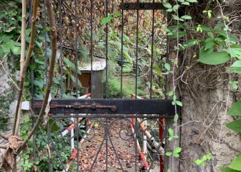 WhatsApp Image 2025-09-10 at 15.24.53.jpeg - Agricultural land Via Elvio Pertinace 19, Vado Ligure - photo 5