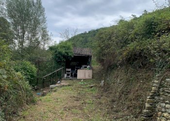 WhatsApp Image 2025-09-10 at 15.24.54.jpeg - Agricultural land Via Elvio Pertinace 19, Vado Ligure - photo 6