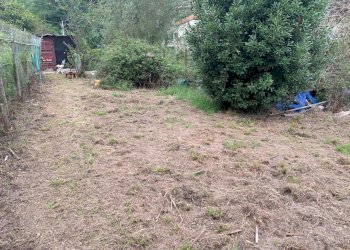 WhatsApp Image 2025-09-10 at 15.24.55 (1).jpeg - Agricultural land Via Elvio Pertinace 19, Vado Ligure - photo 7