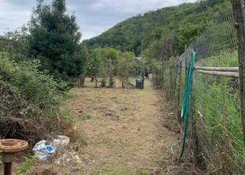 WhatsApp Image 2025-09-10 at 15.24.55.jpeg - Agricultural land Via Elvio Pertinace 19, Vado Ligure - photo 8