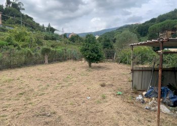 WhatsApp Image 2025-09-10 at 15.24.56 (2).jpeg - Agricultural land Via Elvio Pertinace 19, Vado Ligure - photo 9