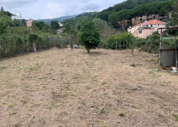 WhatsApp Image 2025-09-10 at 15.24.57.jpeg - Agricultural land Via Elvio Pertinace 19, Vado Ligure - photo 11