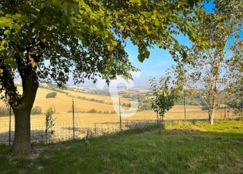 DB4B5384-143C-49A7-98AB-5ACE6B56D97F.jpeg - Casale Montecarotto - foto 7