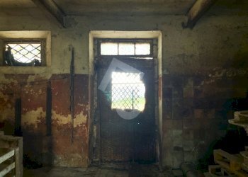 0FCE0F6C-F8A6-40E3-85F3-0B038EC8901A.jpeg - Casale Montecarotto - foto 26