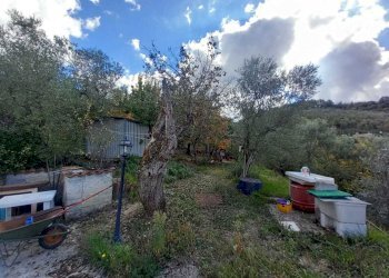 7.jpeg - Villa SP40a 5, Castel Madama - foto 7