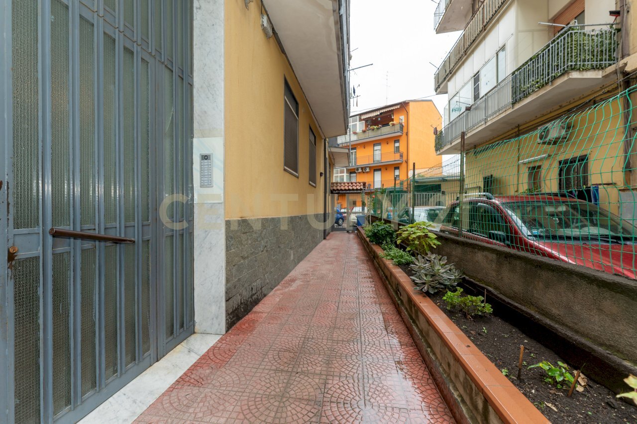 Via degli Agrumi 139 ct (2).jpg - Four-room apartment Via degli Agrumi 139, Catania - photo 3