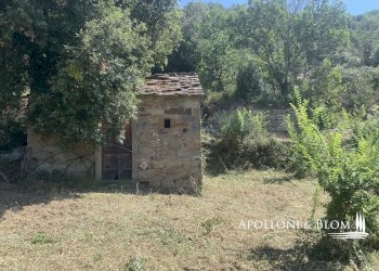 Rustico Località Torreone, 100, Cortona - foto 6