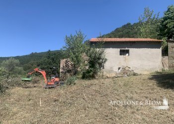 Rustico Località Torreone, 100, Cortona - foto 7