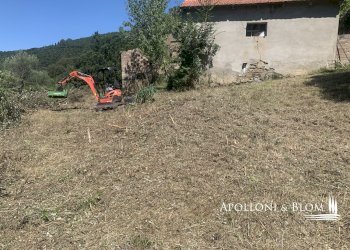 Rustico Località Torreone, 100, Cortona - foto 8