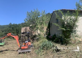 Rustico Località Torreone, 100, Cortona - foto 11