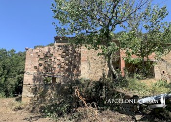 Rustico Località Torreone, 100, Cortona - foto 14