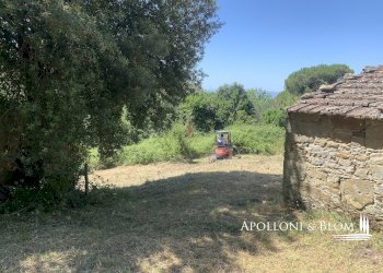 Rustico Località Torreone, 100, Cortona - foto 19