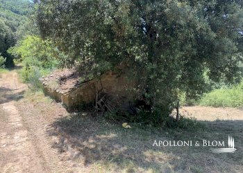 Rustico Località Torreone, 100, Cortona - foto 20