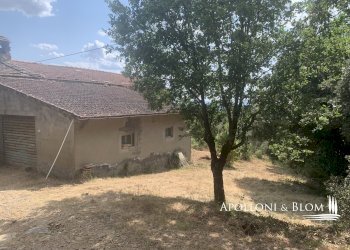 Rustico Località Torreone, 100, Cortona - foto 21