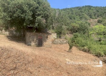 Rustico Località Torreone, 100, Cortona - foto 27