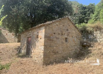 Rustico Località Torreone, 100, Cortona - foto 28