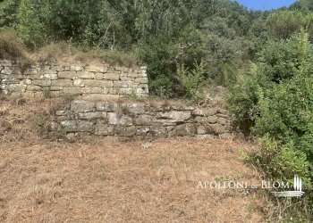 Rustico Località Torreone, 100, Cortona - foto 29