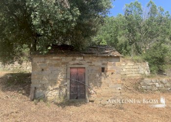 Rustico Località Torreone, 100, Cortona - foto 30
