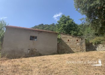 Rustico Località Torreone, 100, Cortona - foto 31