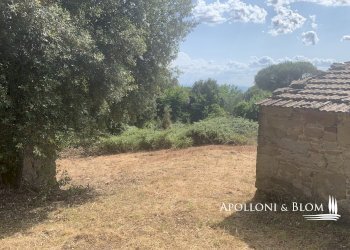 Rustico Località Torreone, 100, Cortona - foto 32