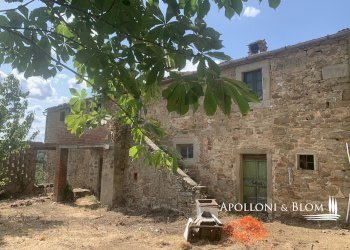 Rustico Località Torreone, 100, Cortona - foto 35