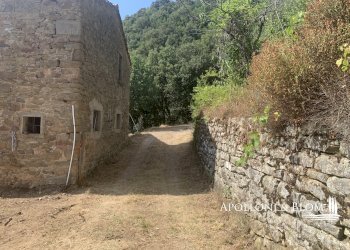 Rustico Località Torreone, 100, Cortona - foto 39