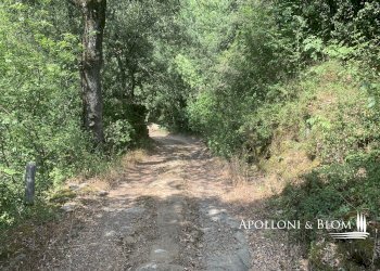 Rustico Località Torreone, 100, Cortona - foto 41