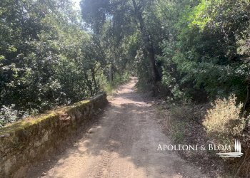 Rustico Località Torreone, 100, Cortona - foto 42