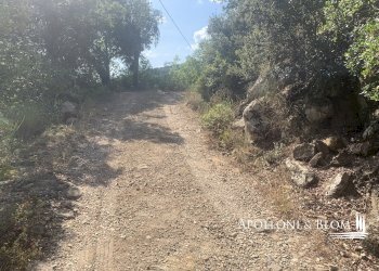 Rustico Località Torreone, 100, Cortona - foto 43