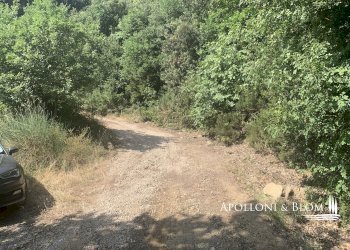 Rustico Località Torreone, 100, Cortona - foto 44