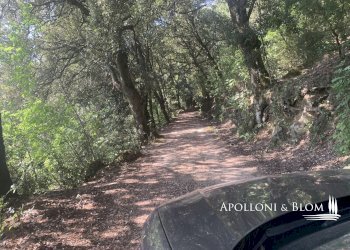 Rustico Località Torreone, 100, Cortona - foto 45