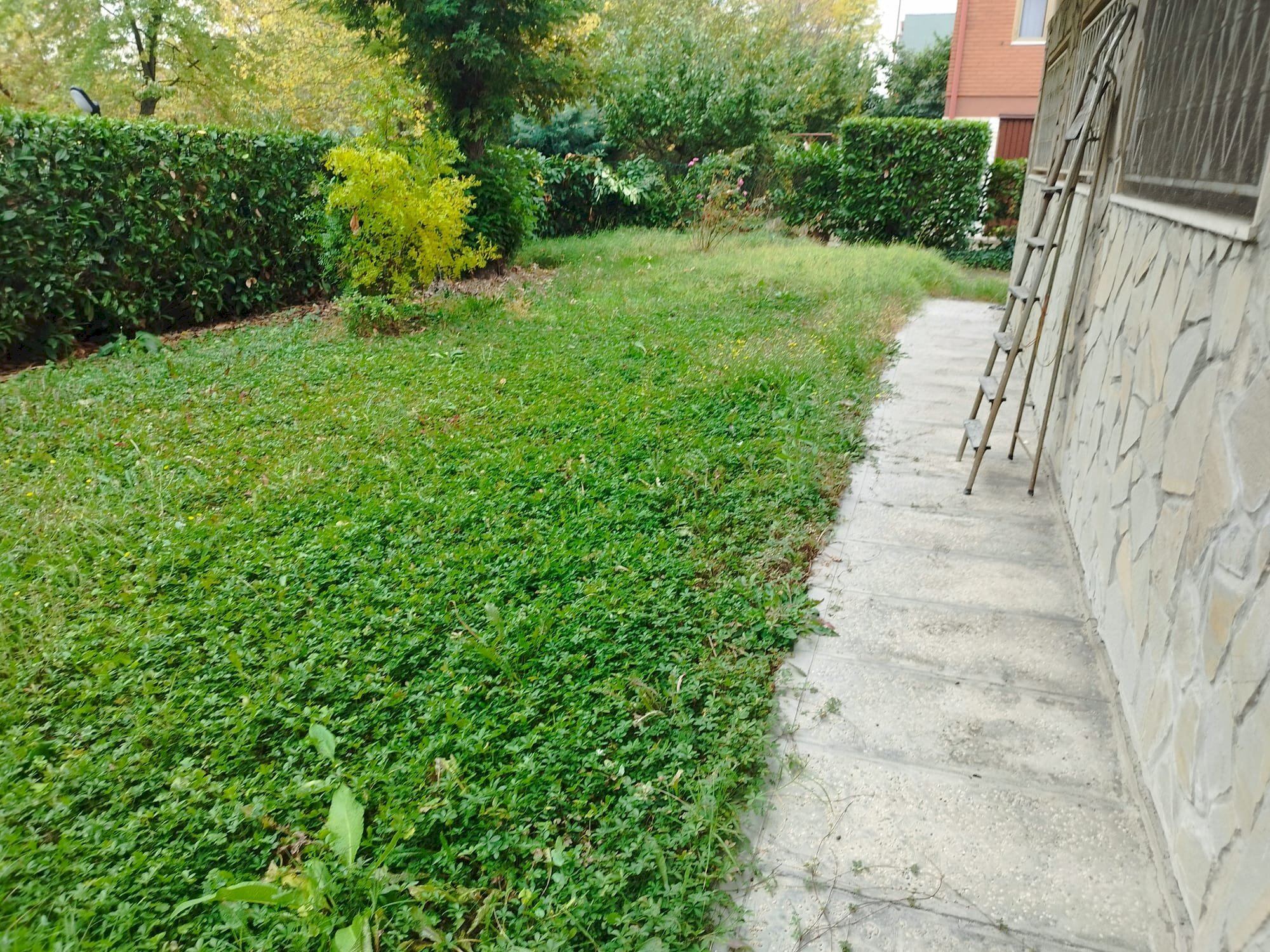 Villa via Panni, Modena (neighborhood Morane - Contrada) - photo 3