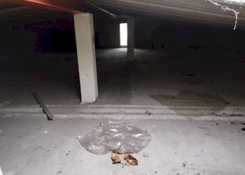 Villa via Panni, Modena (zona Morane - Contrada) - foto 16