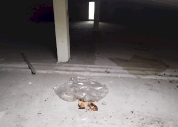 Villa via Panni, Modena (zona Morane - Contrada) - foto 18