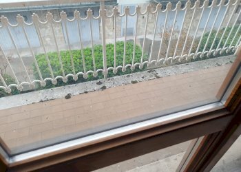 Villa via Panni, Modena (zona Morane - Contrada) - foto 21