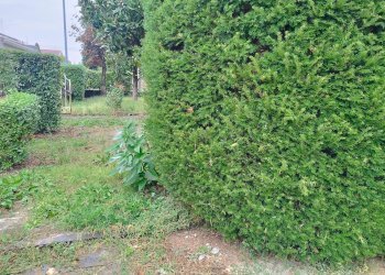 Villa via Panni, Modena (zona Morane - Contrada) - foto 34