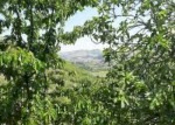 Casa indipendente Santo Stefano Belbo - foto 17