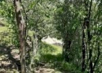 Casa indipendente Santo Stefano Belbo - foto 18