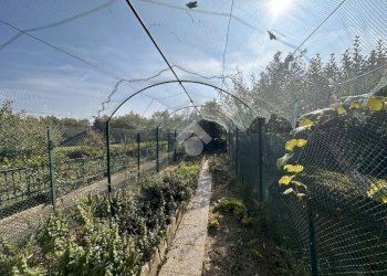 Casa semi indipendente Via trasaghis, Giaveno - foto 6