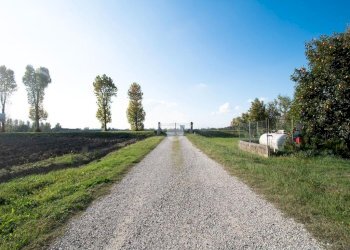 Rustico Via Provinciale per Mantova, Novi di Modena - foto 4