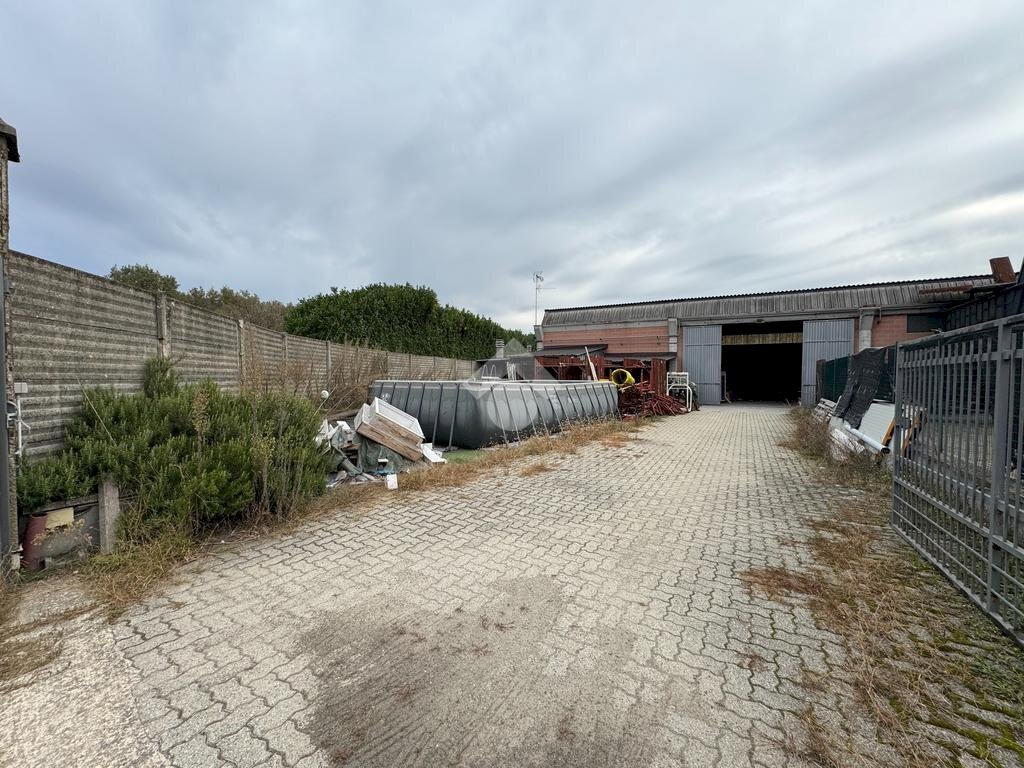 Capannone Via XXV Aprile, Galliate - foto 3