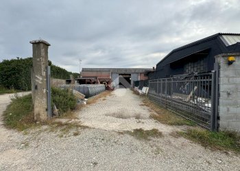 Capannone Via XXV Aprile, Galliate - foto 1