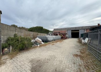 Capannone Via XXV Aprile, Galliate - foto 3