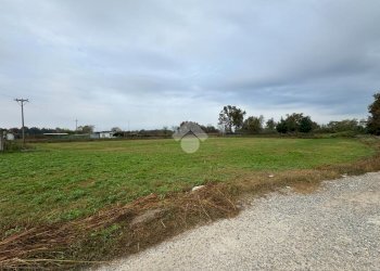 Capannone Via XXV Aprile, Galliate - foto 23