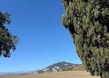 Foto 14 - Rustico Appignano del Tronto - foto 14