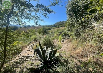 Foto 47 - Independent house Pavullo nel Frignano - photo 47